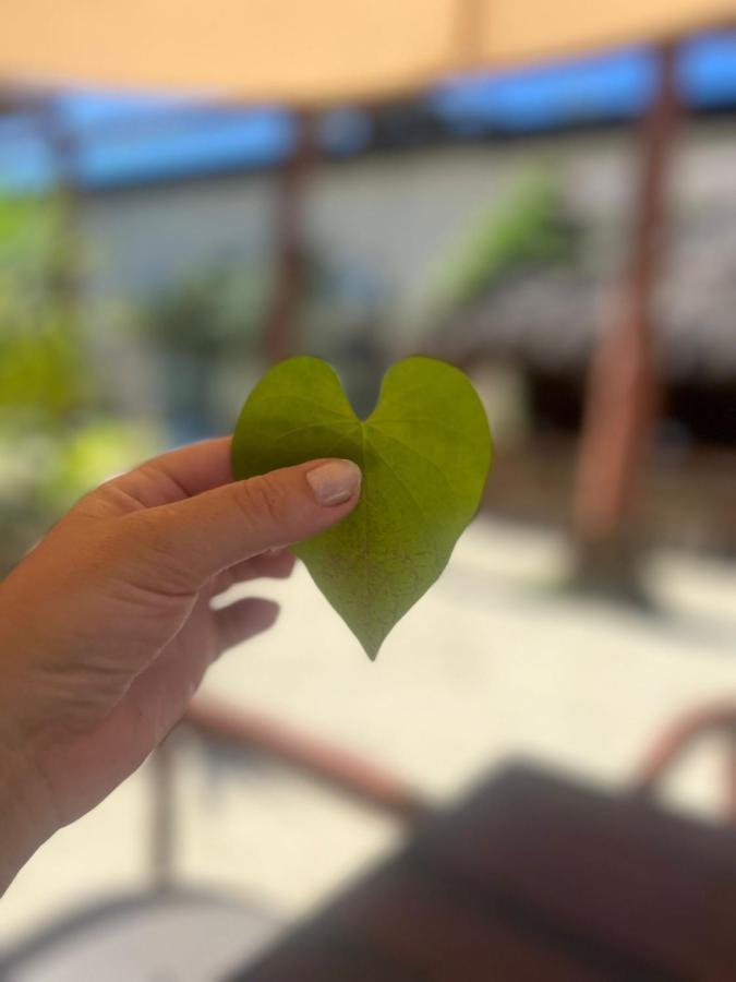 The All Inclusive Hostel - Food, Drinks And Transportation To The Beach And Cenotes Tulum Ngoại thất bức ảnh