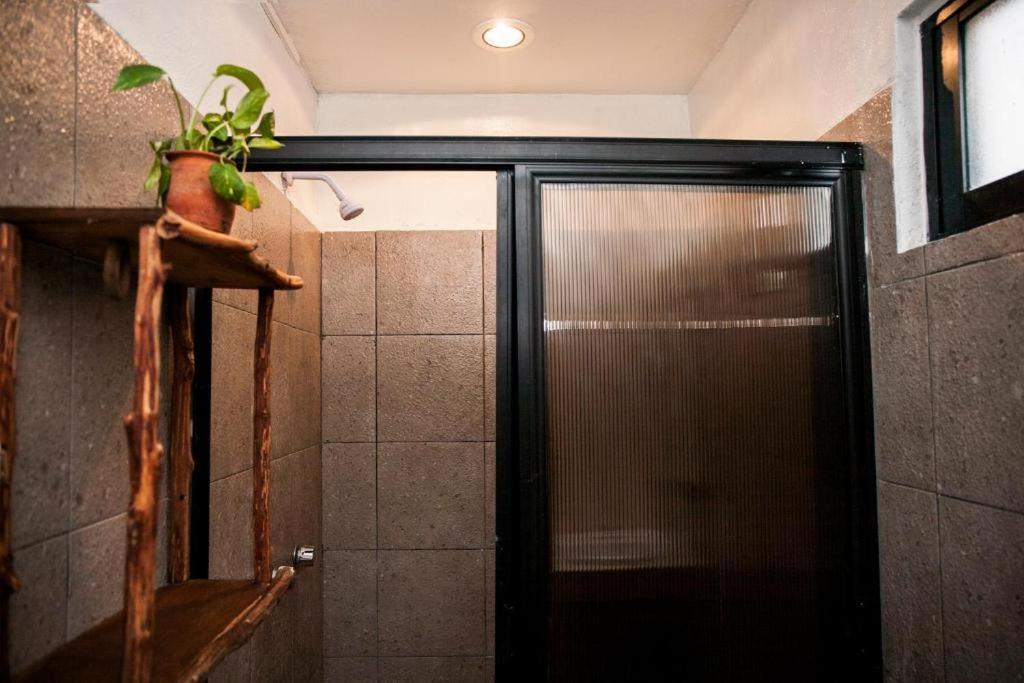 The All Inclusive Hostel - Food, Drinks And Transportation To The Beach And Cenotes Tulum Ngoại thất bức ảnh
